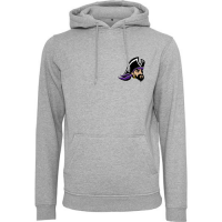 Hoodie der Passau Pirates