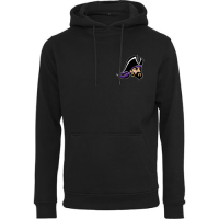 Hoodie der Passau Pirates